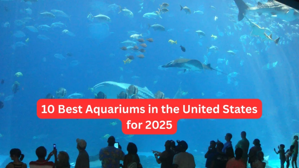 10 Best Aquariums in the United States for 2025
