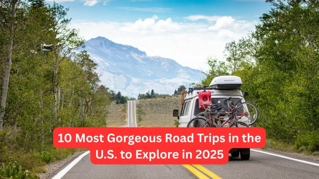 10 Most Gorgeous Road Trips in the U.S. to Explore in 2025